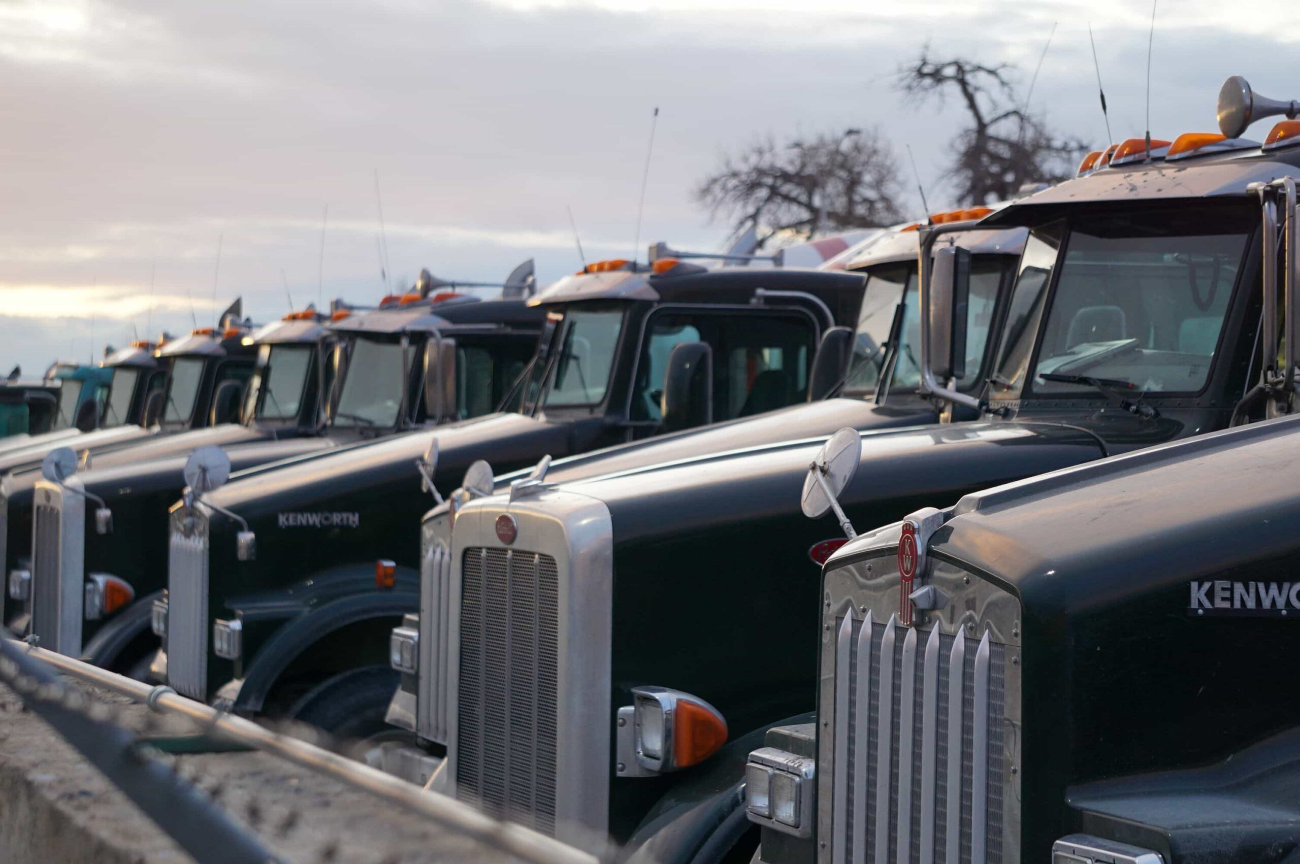 DOT Compliance Services Dallas